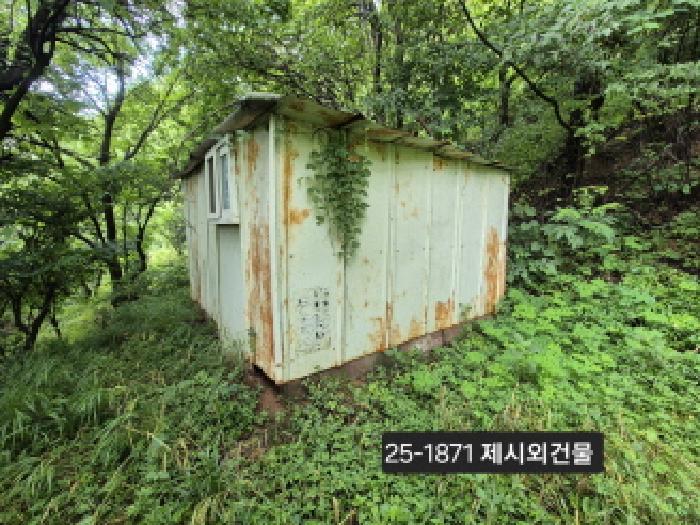 부산광역시 강서구 송정동 1019 묘지 경매 사진 5