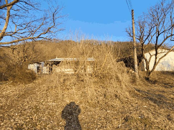 충청남도 공주시 계룡면 상성리 170-1 주택 경매 사진 3