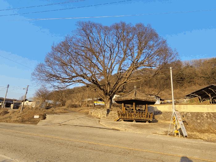 충청남도 공주시 계룡면 상성리 170-1 주택 경매 사진 6