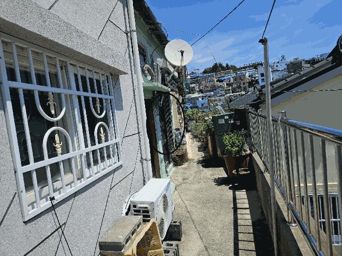 부산 사하구 대지
