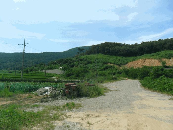 경상북도 경주시 현곡면 래태리 산189-1 임야 경매 사진 1