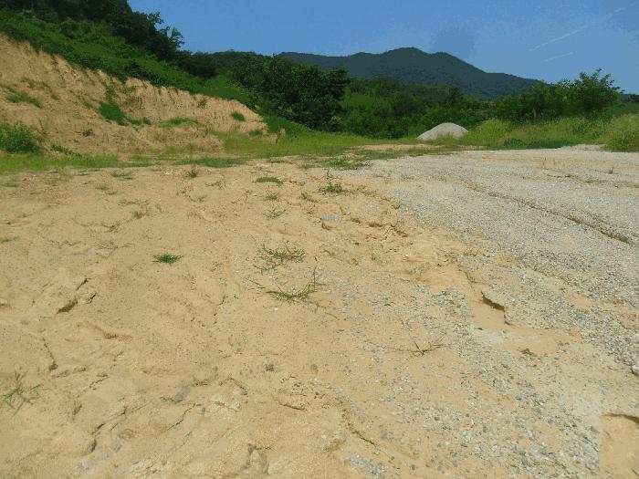 경상북도 경주시 현곡면 래태리 산189-1 임야 경매 사진 3