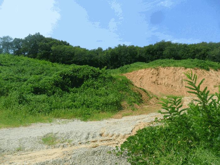 경상북도 경주시 현곡면 래태리 산189-1 임야 경매 사진 6