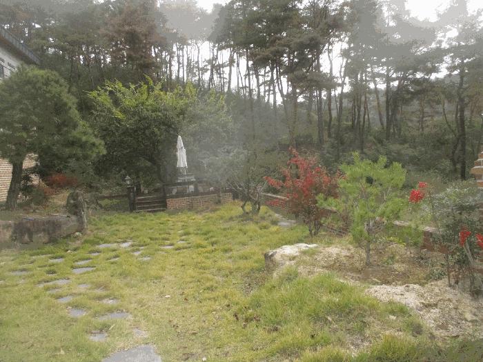 경상북도 경주시 석장동 769-38 주택 경매 사진 3