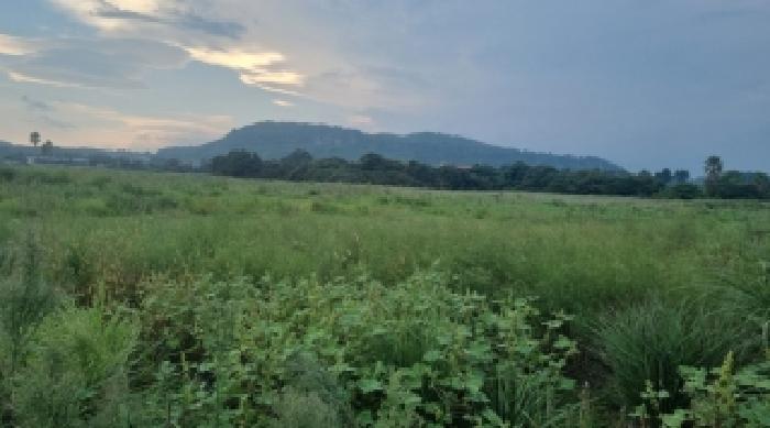 제주특별자치도 서귀포시 성산읍 시흥리 1268-13 전 경매 사진 16