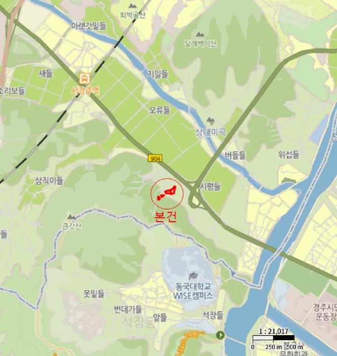 경상북도 경주시 현곡면 금장리 194-13 답 경매 사진 9