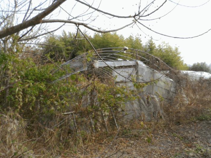 전라남도 나주시 동강면 인동리 253 임야 경매 사진 13