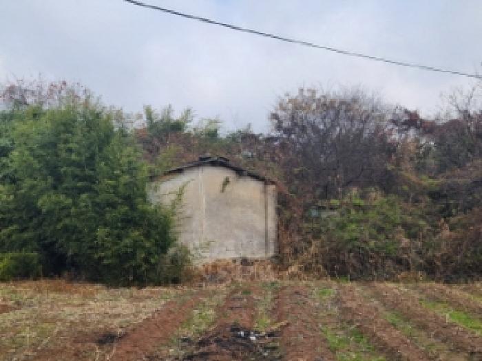 전라남도 나주시 동강면 인동리 255-1 대지 경매 사진 17