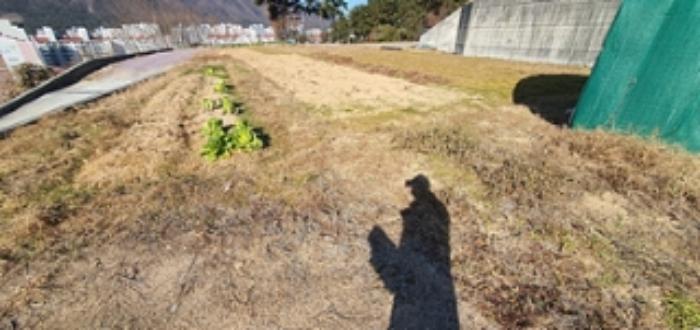 경상남도 김해시 구산동 390-2 전 경매 사진 11