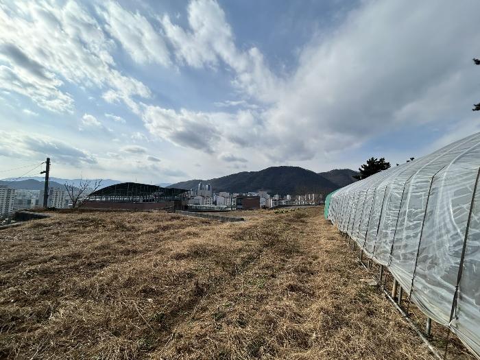 경상남도 김해시 구산동 390-2 전 경매 사진 2