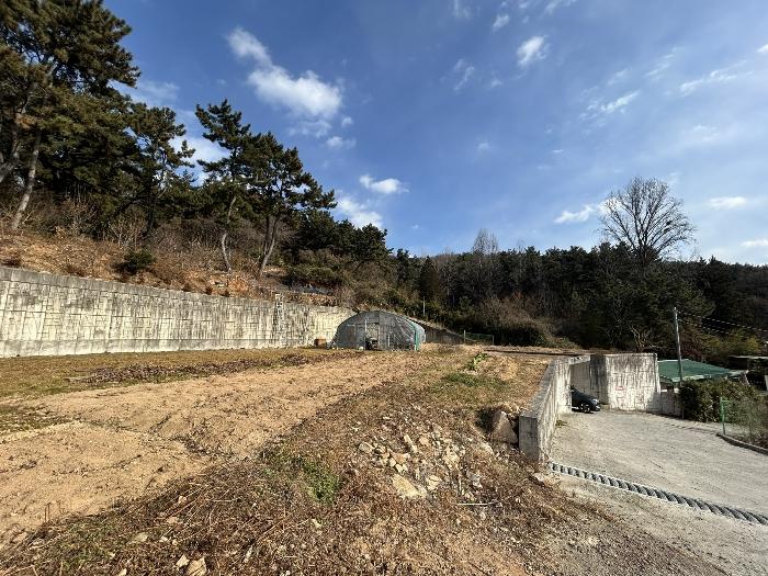 경상남도 김해시 구산동 390-2 전 경매 사진 6