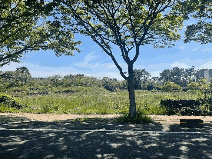 제주특별자치도 제주시 한림읍 협재리 1834-1 전 경매 사진 5