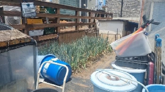 제주특별자치도 제주시 삼양일동 1047 주택 경매 사진 12