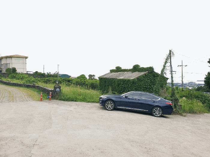 제주특별자치도 서귀포시 서호동 1423 과수원 경매 사진 8