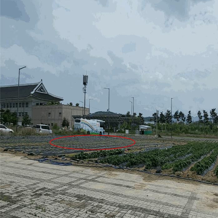 경상북도 예천군 호명읍 금능리 761 대지 경매 사진 3