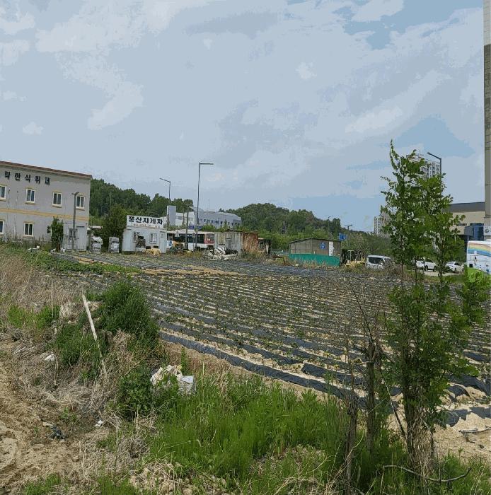 경상북도 예천군 호명읍 금능리 761 대지 경매 사진 4
