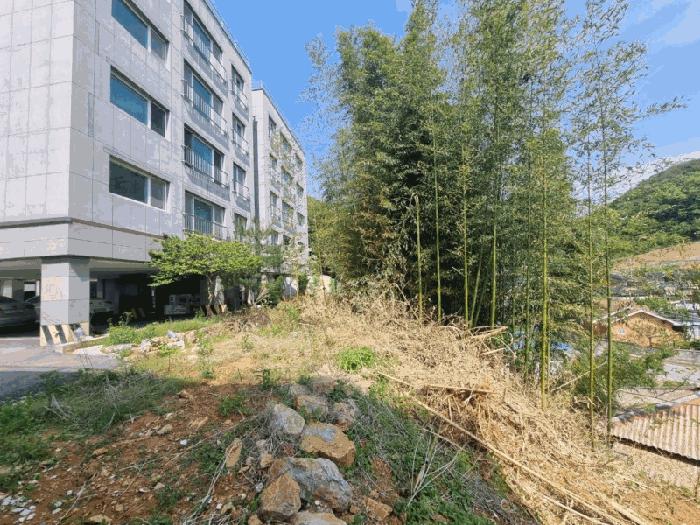 경상북도 문경시 공평동 404-42 임야 경매 사진 3