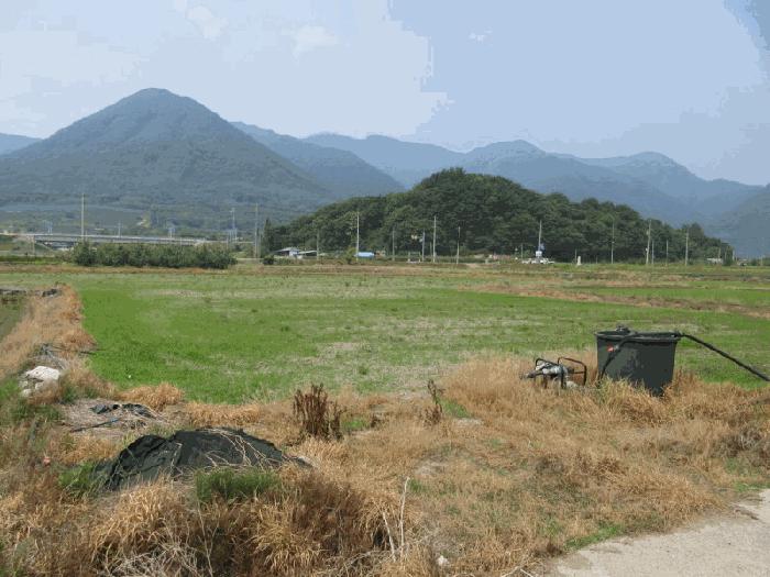 경상북도 문경시 문경읍 마원리 142-4 답 경매 사진 3