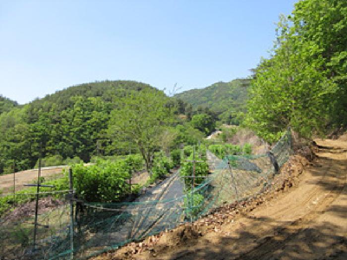 경상북도 문경시 동로면 석항리 230 전 경매 사진 18