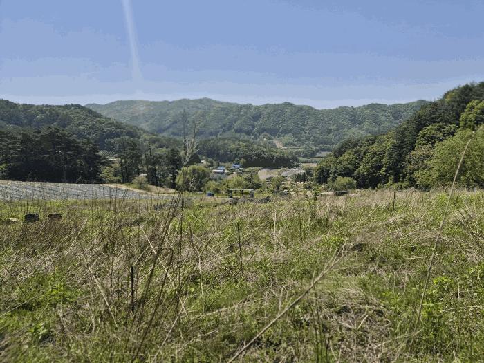 경상북도 문경시 동로면 석항리 230 전 경매 사진 4