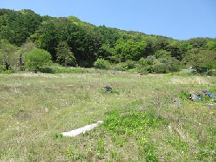 경상북도 문경시 동로면 석항리 271 답 경매 사진 11