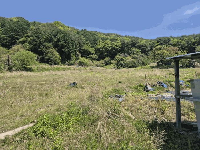 경상북도 문경시 동로면 석항리 316 답 경매 사진 7