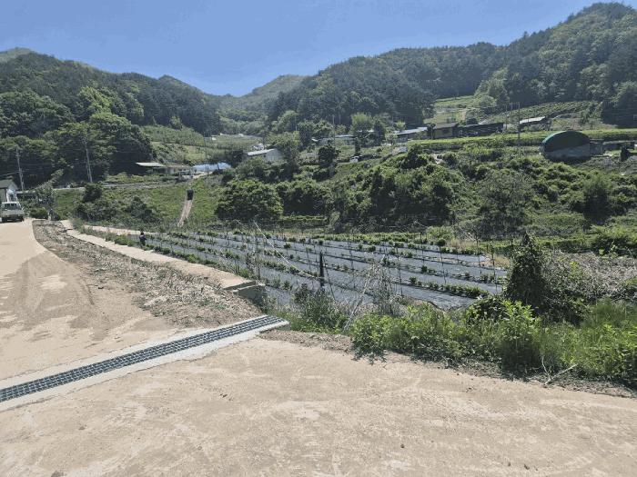 경상북도 문경시 동로면 석항리 316 답 경매 사진 8