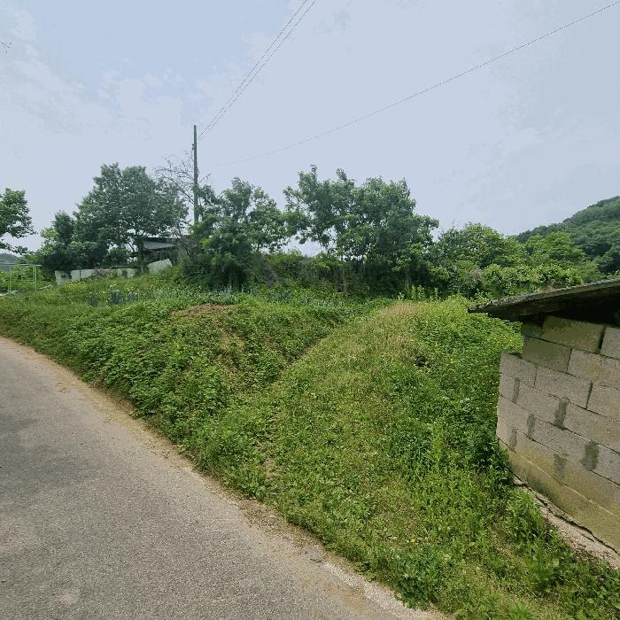 경상북도 상주시 공검면 율곡리 693-1 전 경매 사진 3