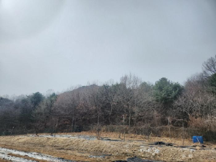 인천광역시 강화군 양사면 철산리 90-26 임야 경매 사진 2