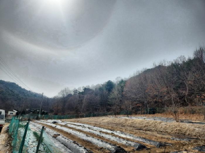 인천광역시 강화군 양사면 철산리 90-26 임야 경매 사진 4