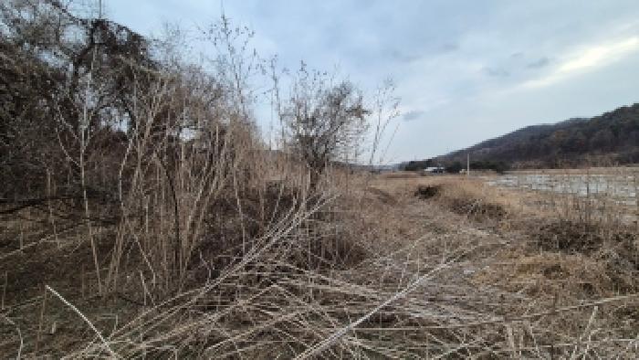 경기도 포천시 창수면 추동리 206-2 전 경매 사진 7