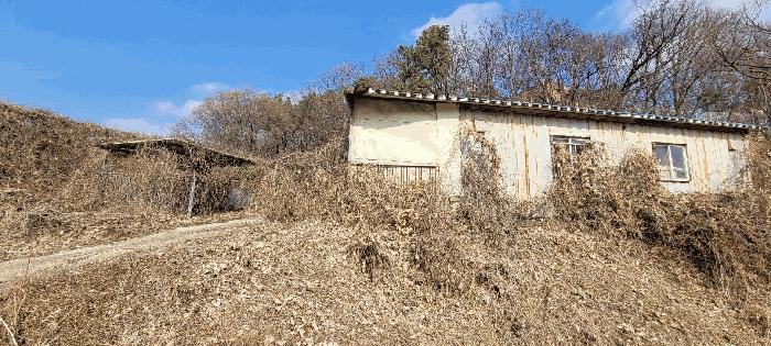 경기도 이천시 신둔면 용면리 176 전 경매 사진 11