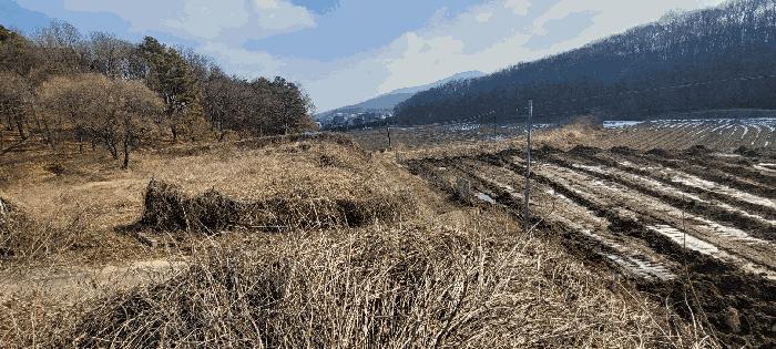 경기도 이천시 신둔면 용면리 176 전 경매 사진 7