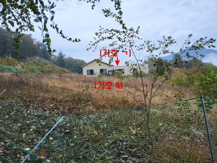 경기도 가평군 설악면 천안리 527-11 창고 경매 사진 3
