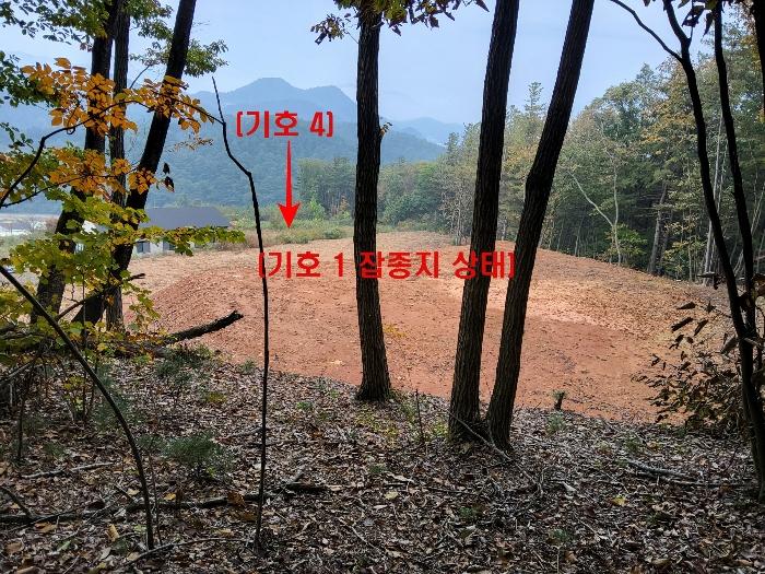 경기도 가평군 설악면 천안리 527-11 창고 경매 사진 5