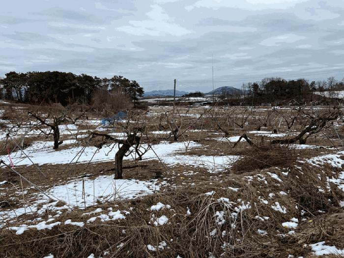 경기 이천시 전