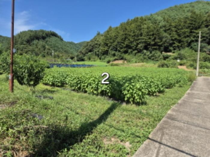 경기도 양평군 청운면 삼성리 571 전 경매 사진 14