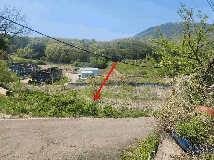 경기도 파주시 법원읍 웅담리 254-9 전 경매 사진 3