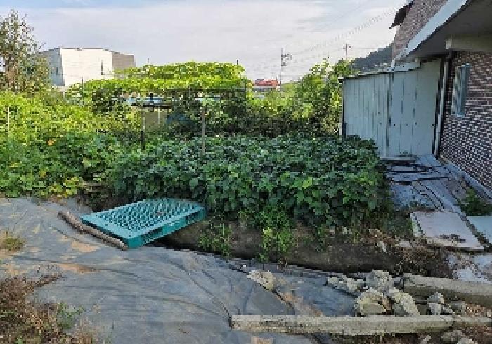 충청남도 천안시 서북구 성거읍 오색당리 33-1 전 경매 사진 16