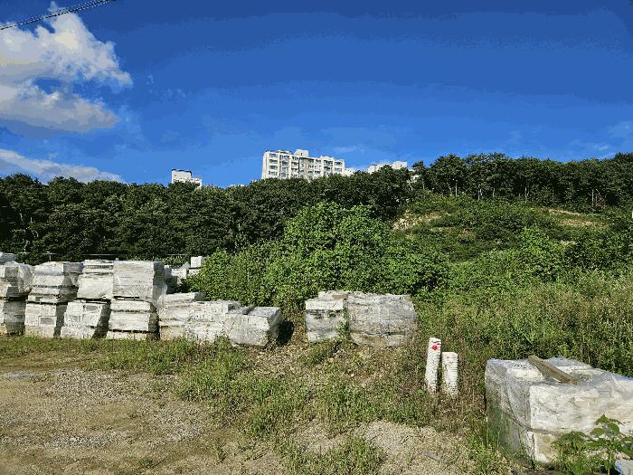 충청남도 천안시 동남구 안서동 213-22 잡종지 경매 사진 3