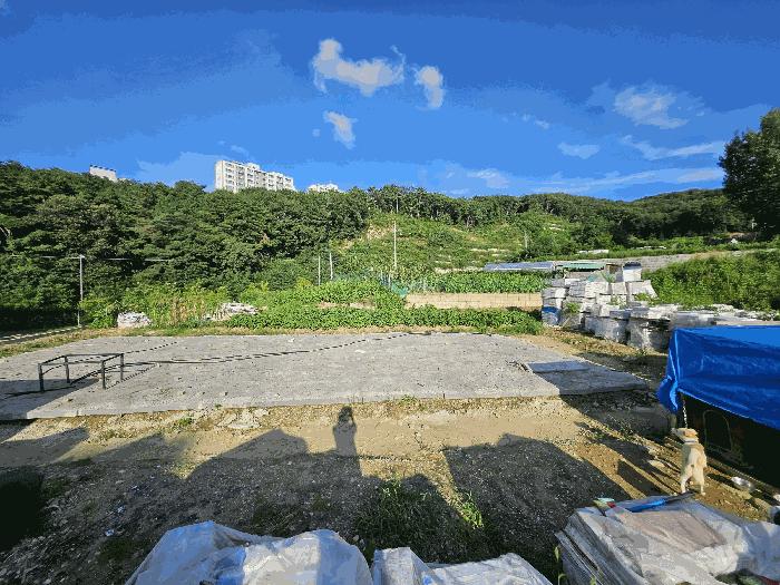 충청남도 천안시 동남구 안서동 213-22 잡종지 경매 사진 7