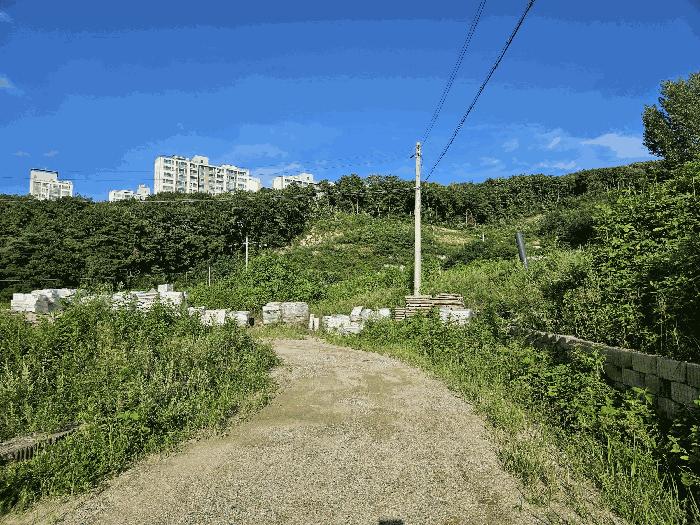 충청남도 천안시 동남구 안서동 213-22 잡종지 경매 사진 9