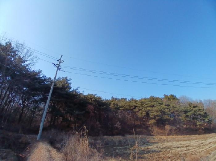 충청남도 서산시 대산읍 운산리 198-72 임야 경매 사진 1