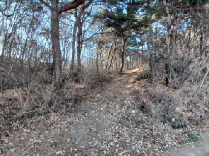 충청남도 서산시 대산읍 운산리 198-72 임야 경매 사진 5