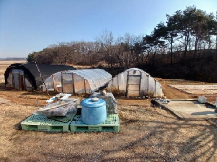 충청남도 서산시 대산읍 운산리 198-72 임야 경매 사진 7