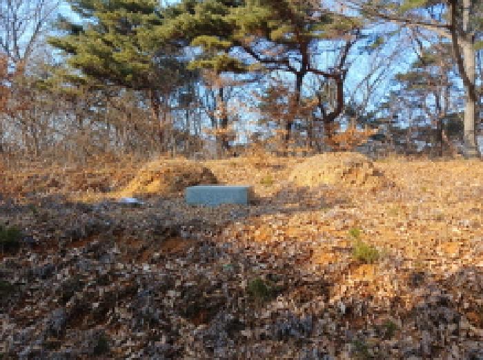 충청남도 서산시 대산읍 운산리 198-72 임야 경매 사진 8