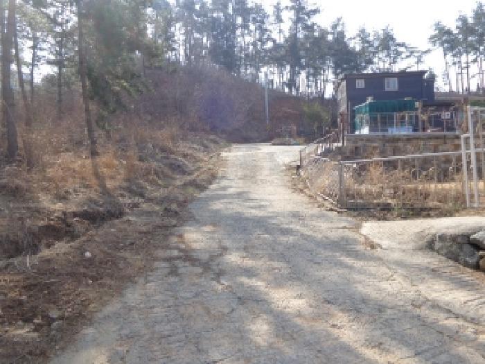 충청남도 태안군 이원면 관리 1001-34 임야 경매 사진 10