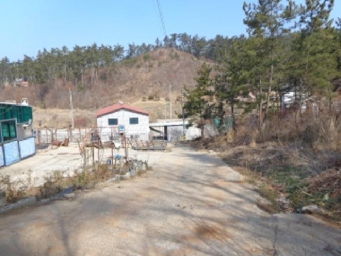 충청남도 태안군 이원면 관리 1001-34 임야 경매 사진 11