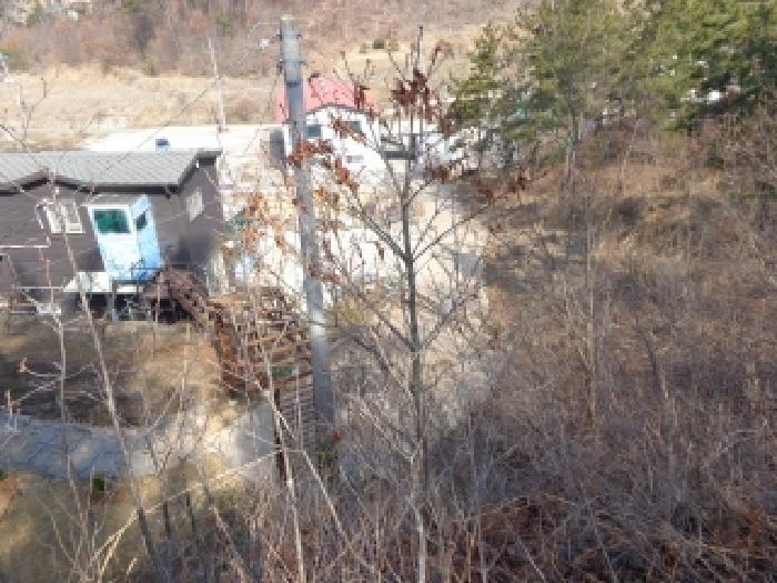 충청남도 태안군 이원면 관리 1001-34 임야 경매 사진 12