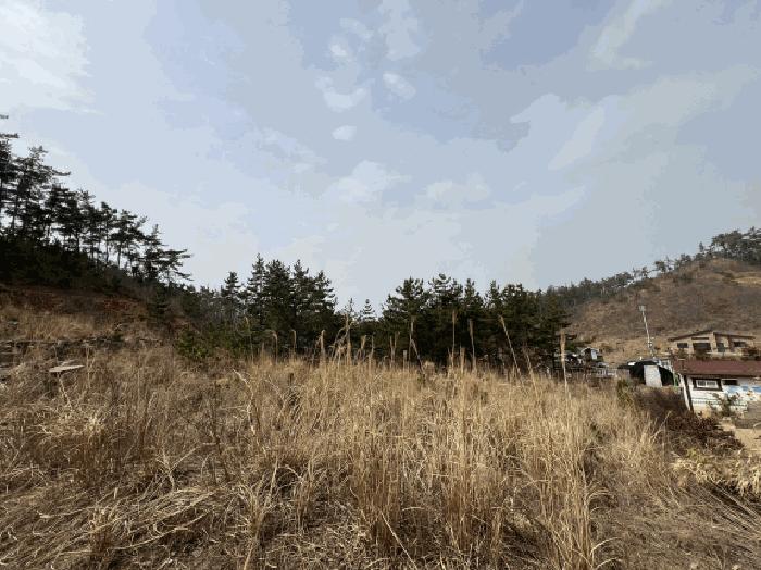 충청남도 태안군 이원면 관리 1001-34 임야 경매 사진 3